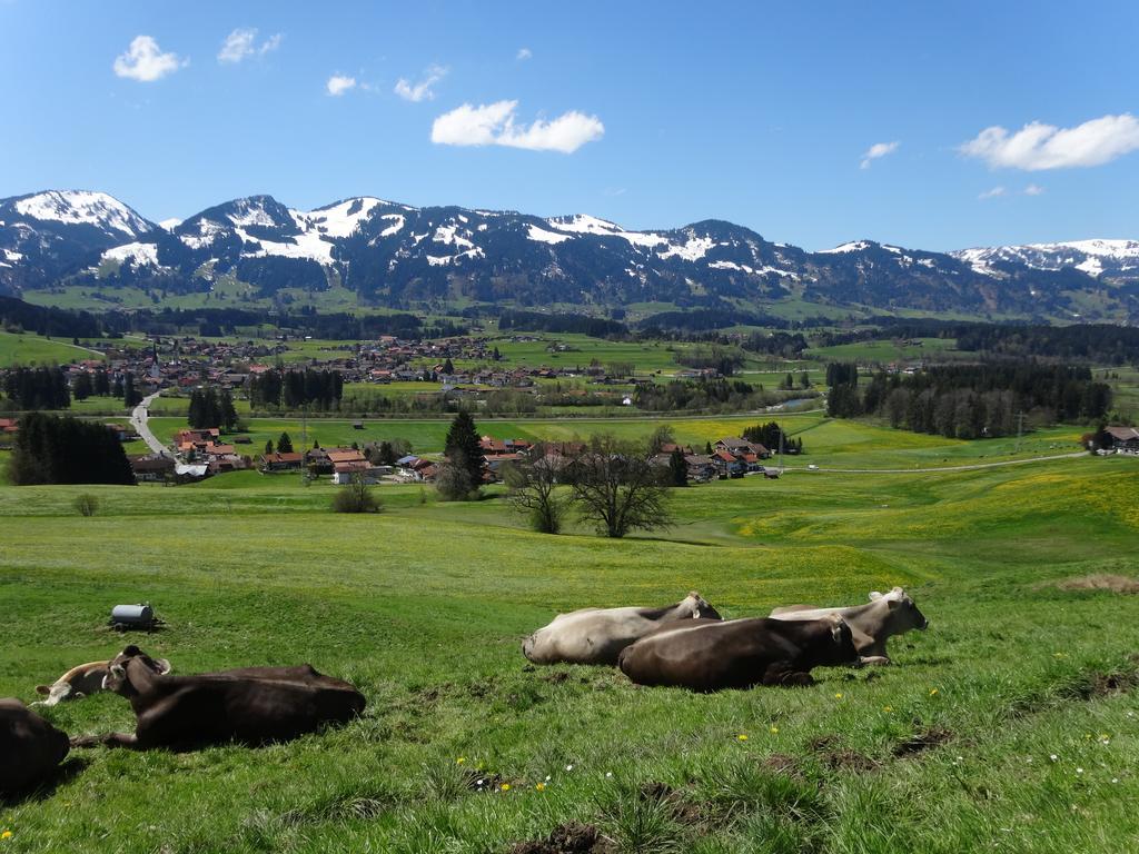 Ferienwohnungen Im Faerberhaus Fischen im Allgaeu Bagian luar foto